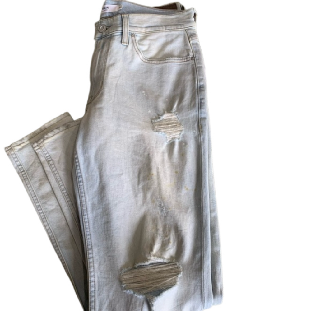 Hudson premium denim